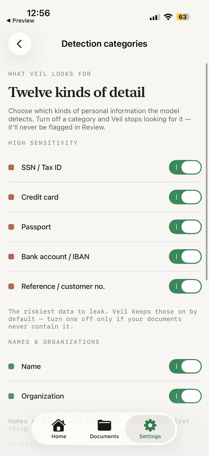 Detection categories screen listing twelve kinds of detail such as SSN, credit card, passport and bank account, each with a toggle.