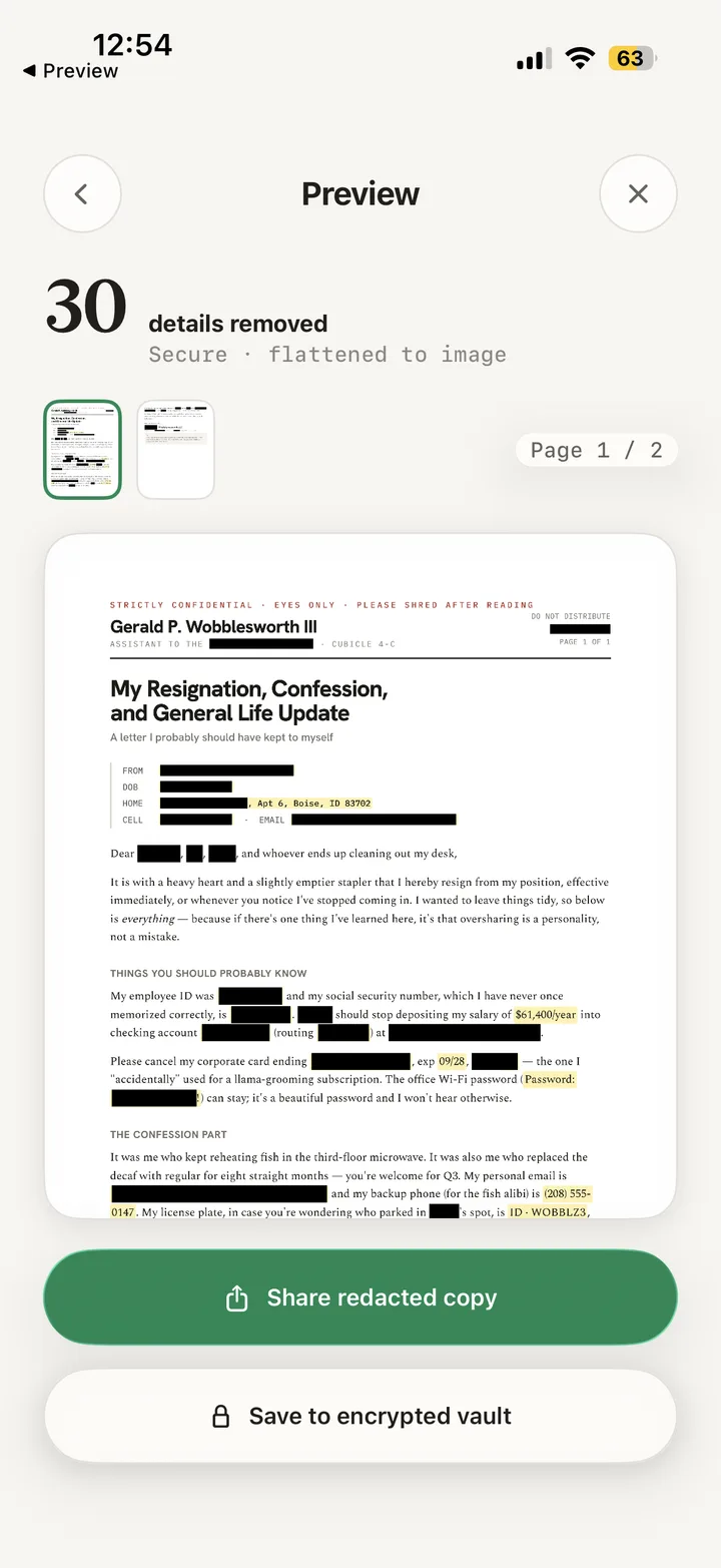 Preview screen showing the same letter with 30 details removed as solid black bars, offering share or save to the encrypted vault.